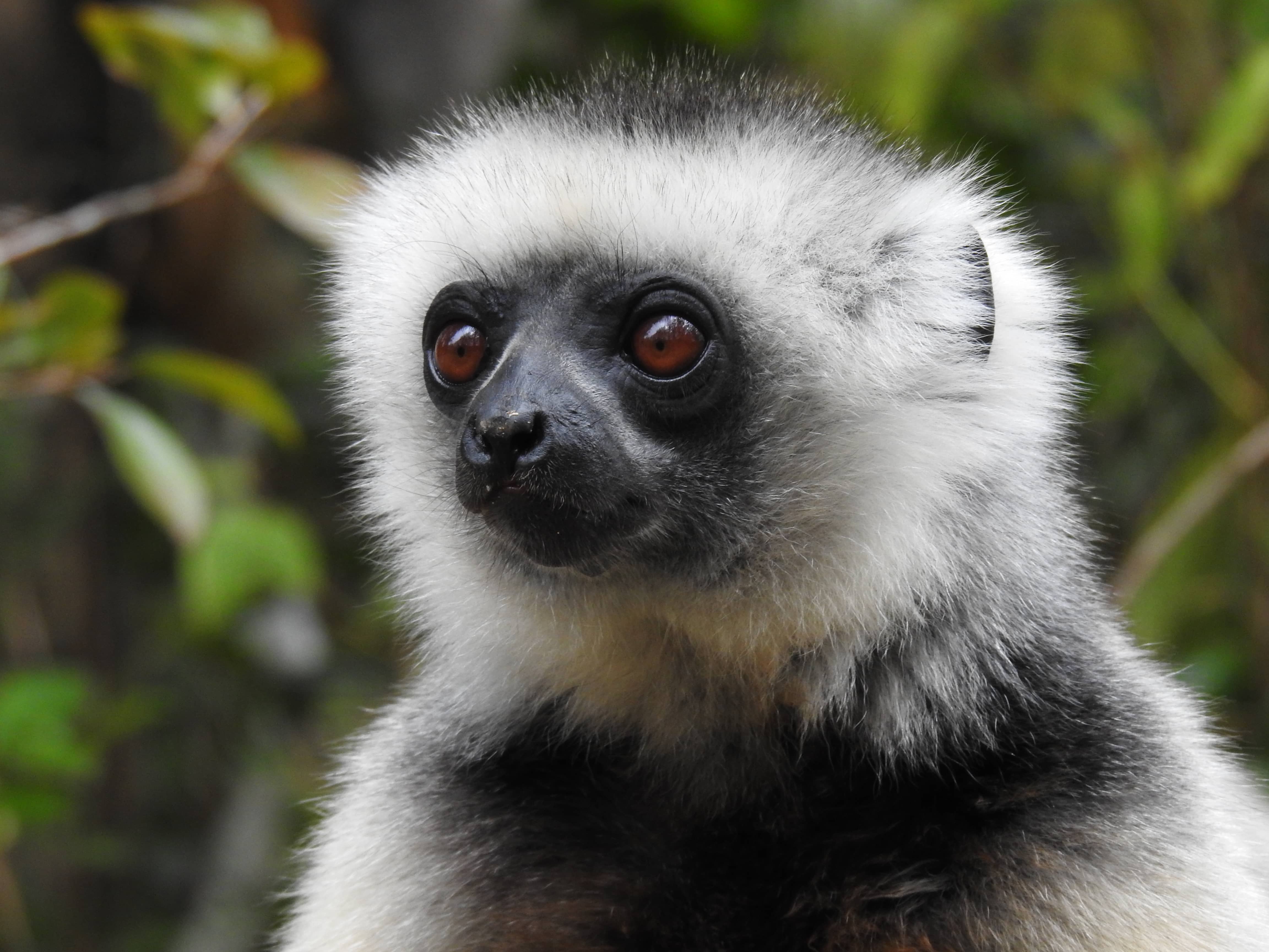 A Sweet Break in Northern Madagascar