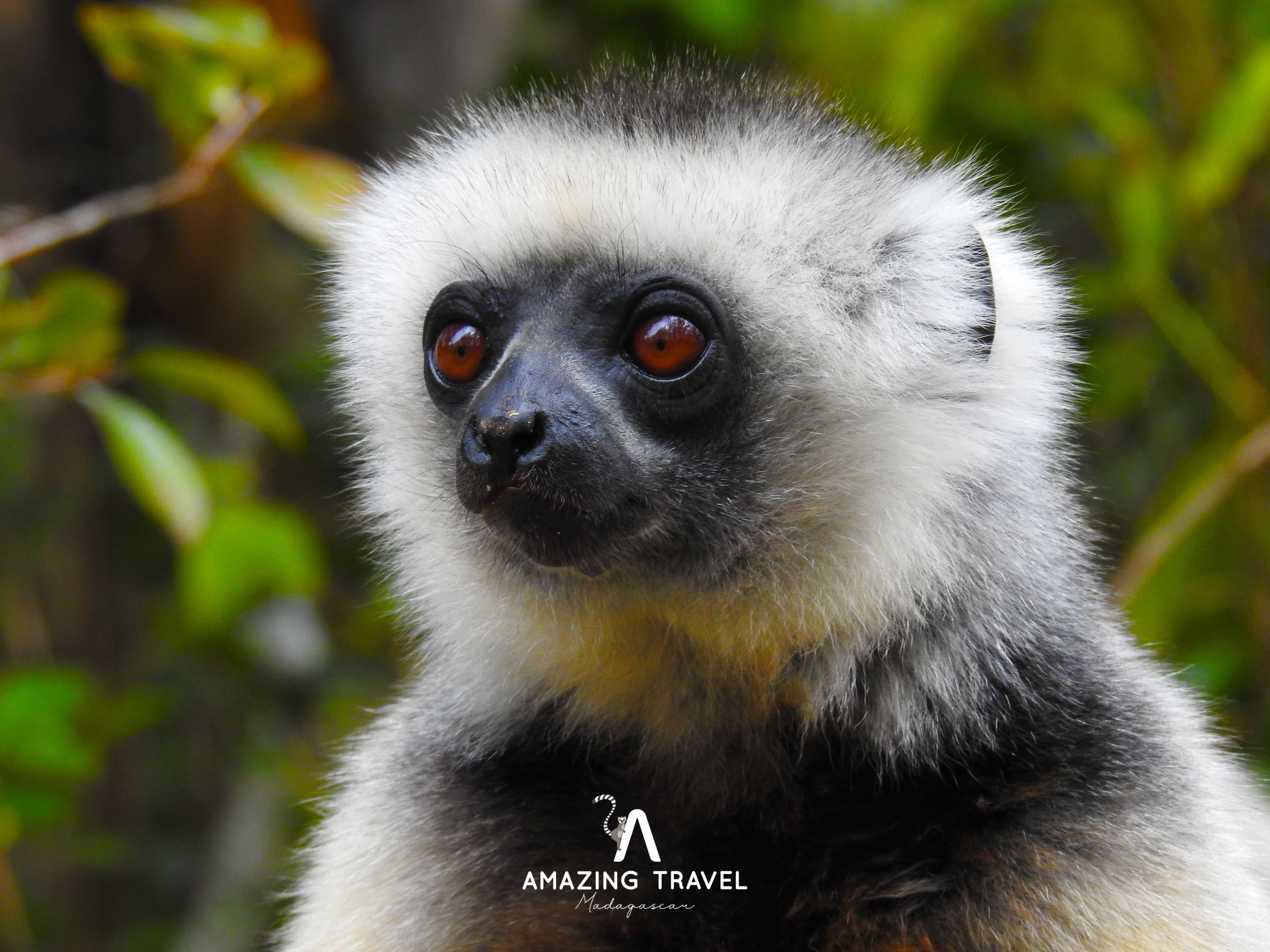 The Eastern Journey - 2